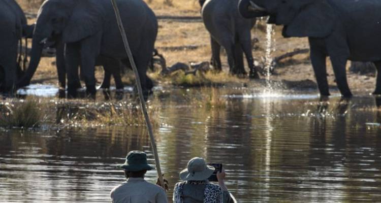 Groep olifanten bij een waterbron met toeristen die kijken.