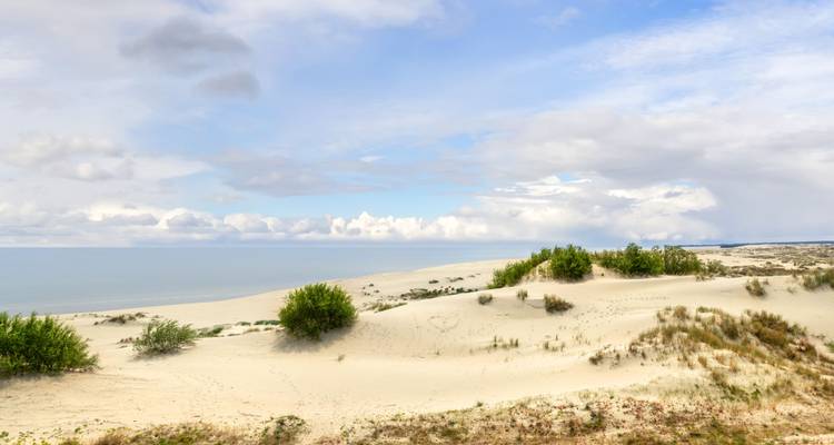 Dunas de arena y vegetación escasa junto al mar.
