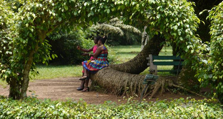 Dos personas sentadas en un banco rodeadas de vegetación exuberante y un arco de árboles.