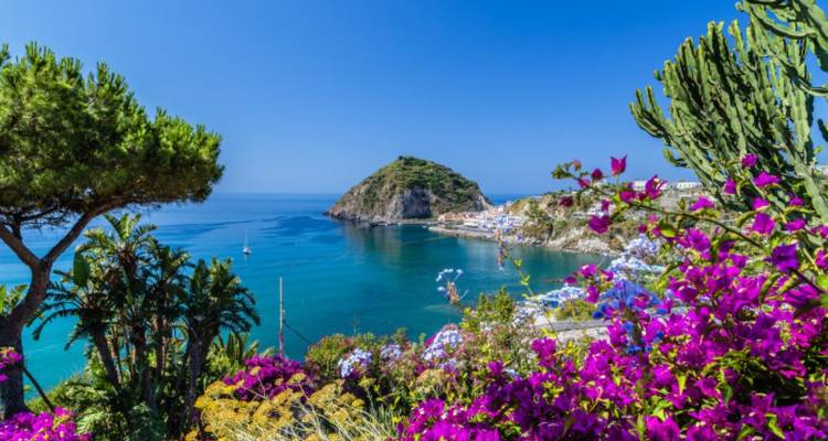 Scenic coastal view with vibrant flowers and clear blue sea.