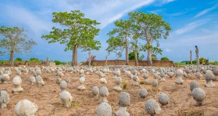 Muchas esculturas de cabezas de concreto esparcidas por un campo.