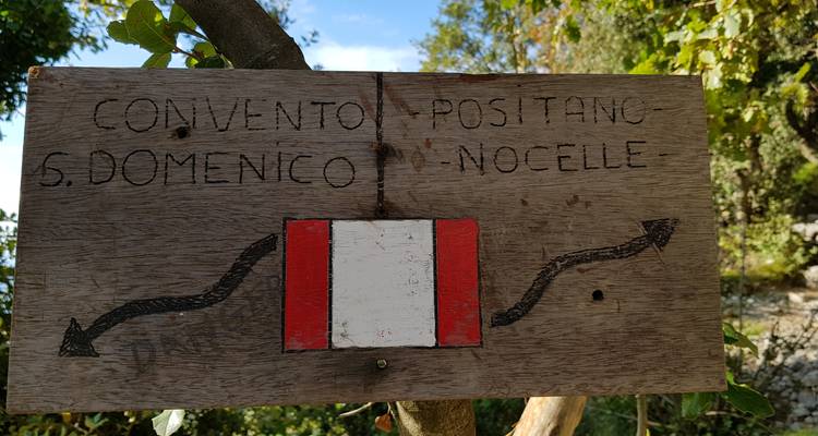 Señal de sendero de madera con direcciones talladas.