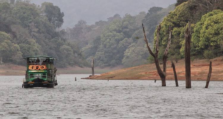 Bateau sur une rivière entouré d'un paysage forestier.