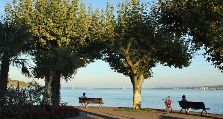 Parc avec bancs et arbres au bord d'un lac.