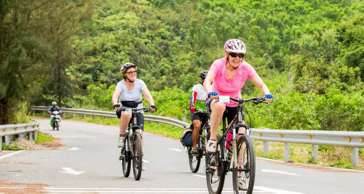 Ciclistas en una carretera con vegetación