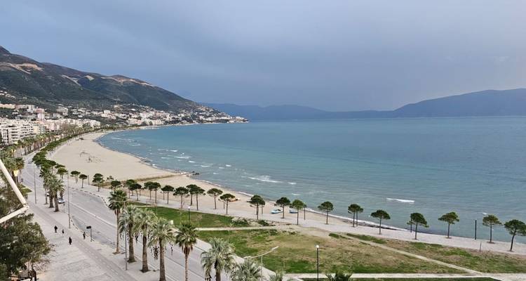 Costa con una playa, palmeras y una ciudad al fondo