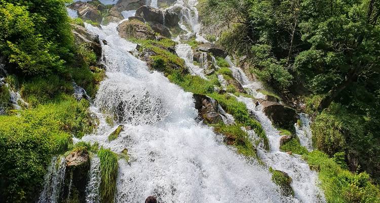 Cascada cayendo sobre rocas rodeada de vegetación