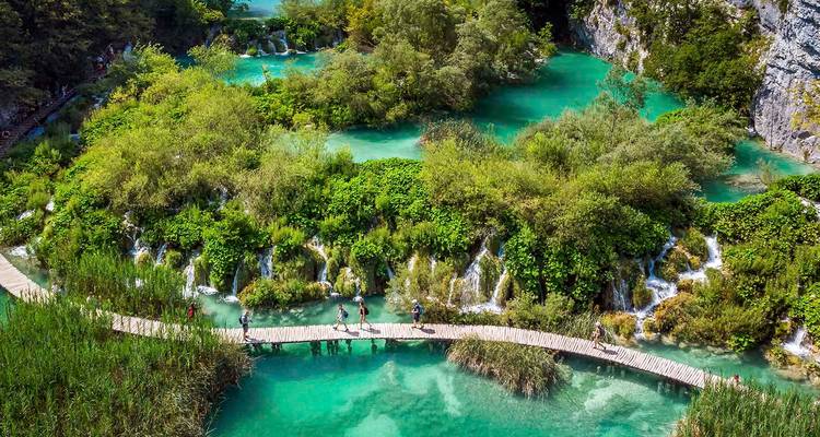 Luftaufnahme eines üppigen Waldes mit türkisfarbenen Seen und einer hölzernen Fußgängerbrücke.