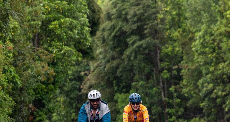 Deux cyclistes roulant sur une route à travers une végétation verte dense.