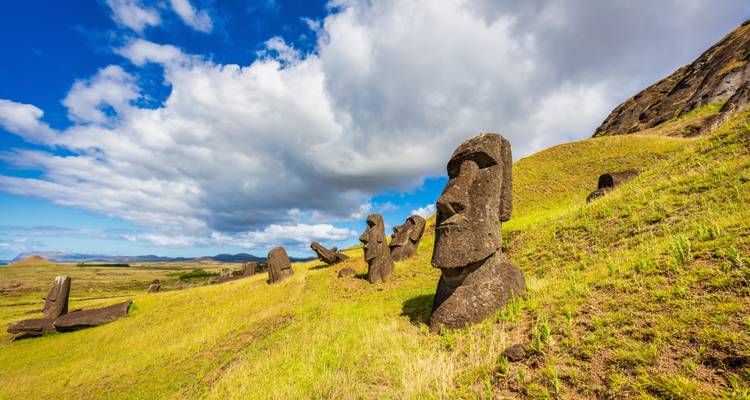 Statues moaï de l'île de Pâques dans un paysage herbeux sous un ciel bleu.