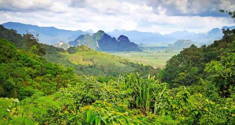 Lush tropical forest and dramatic limestone mountains stretching into the distance under a partly cloudy sky.