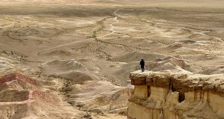 Una persona de pie en un acantilado en un vasto paisaje desértico.