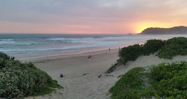 Quiet sandy beach with low dunes and shrubbery at sunset with gentle waves rolling in.