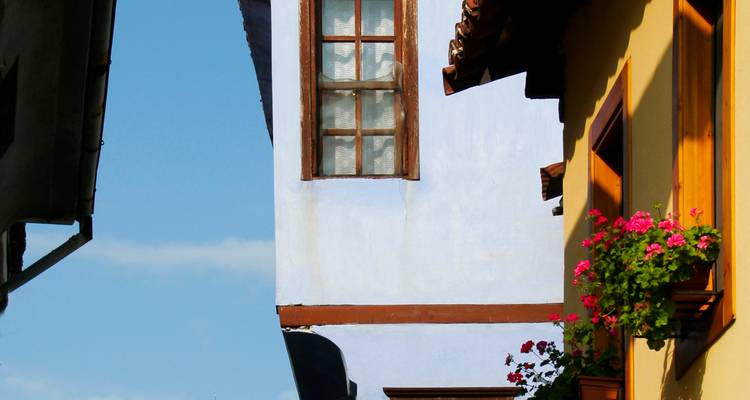 Gros plan de maisons colorées avec des fleurs aux fenêtres.