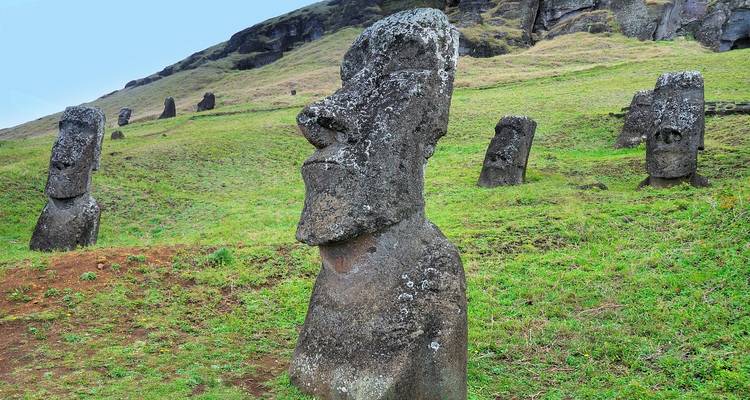 Vue rapprochée des statues Moai sur une colline herbeuse.