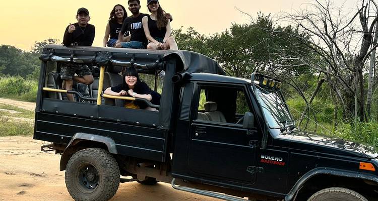 Groupe de personnes dans un véhicule de safari profitant d'une visite du parc.