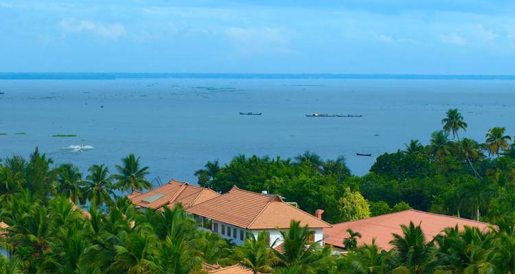 Vista sobre un lago sereno con vegetación circundante