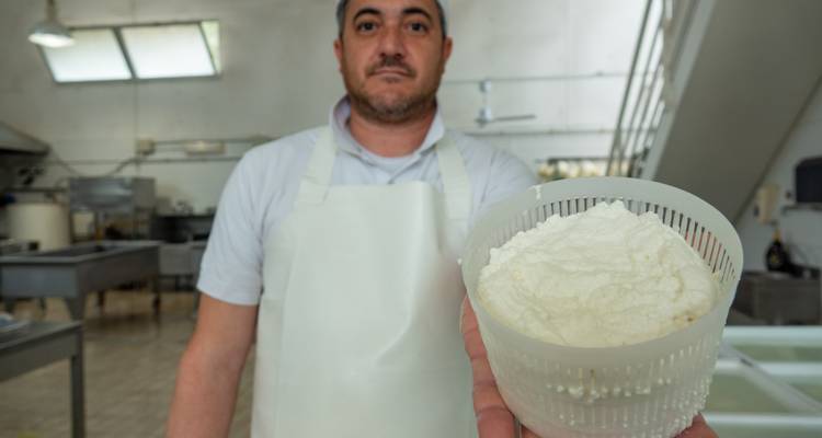 Le fromager présente une tasse de ricotta fraîche dans une salle de production laitière.