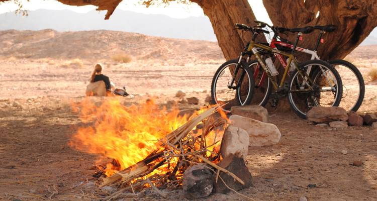 Vélos près d'un feu de camp sous un arbre