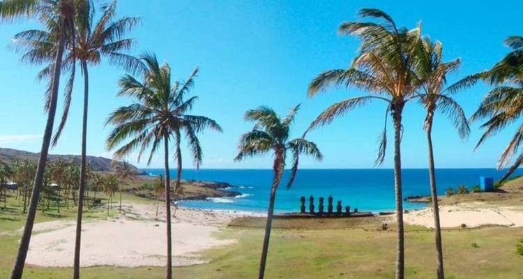 Des palmiers et une plage avec des statues Moaï au loin.