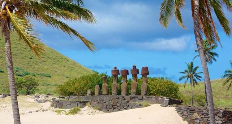 Palmiers et statues Moai sur une plage de sable.