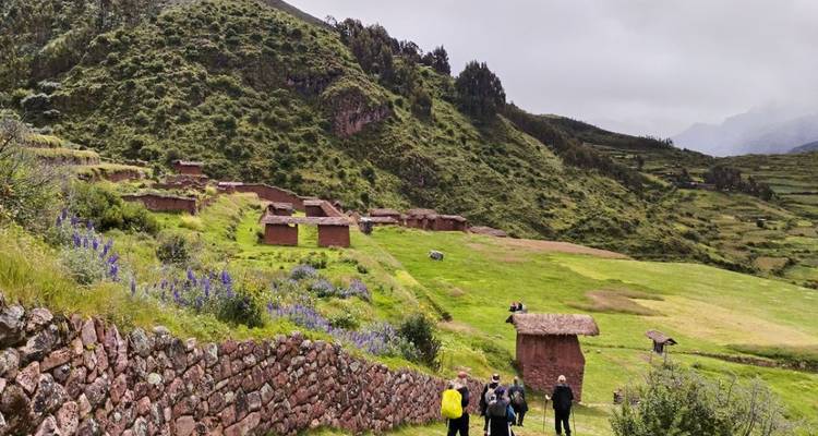 Grupo de personas caminando por campos pintorescos.