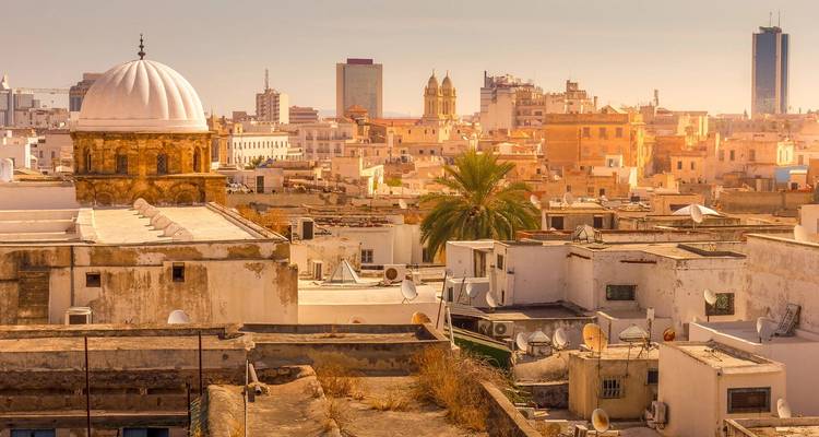 Paisaje urbano con tejados abovedados y edificios modernos.