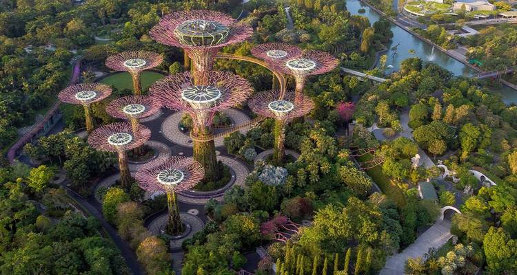 Vista aérea del futurista Supertree Grove en Gardens by the Bay rodeado de exuberante vegetación y vías fluviales en Singapur.