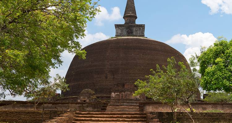 Oude stupa omgeven door bomen.