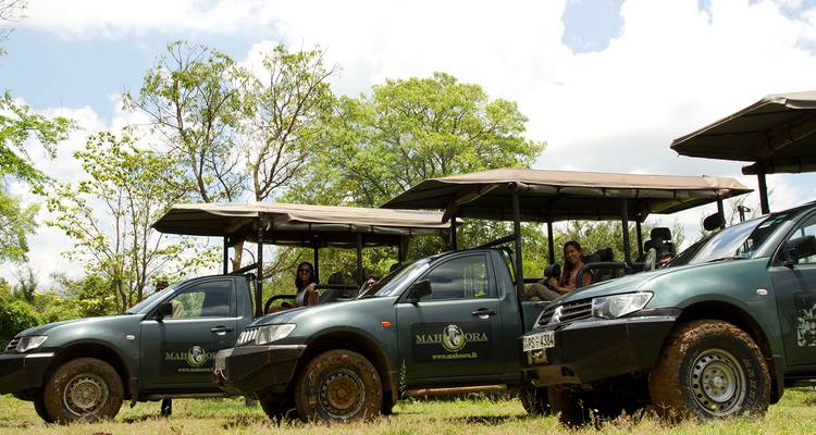 Safari jeeps met toeristen in de jungle.