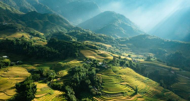 Campos en terrazas con rayos de sol sobre un paisaje exuberante.