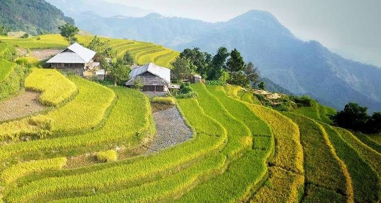 Campos verdes en terrazas con casas de campo y vista a la montaña.