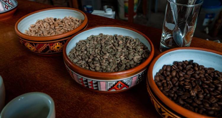 Tazones de diferentes tipos de granos de café.
