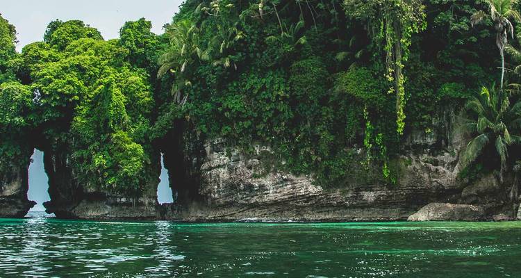 Dichte groene vegetatie over rotsachtige zeekliffen met een heldere blauwe lucht.