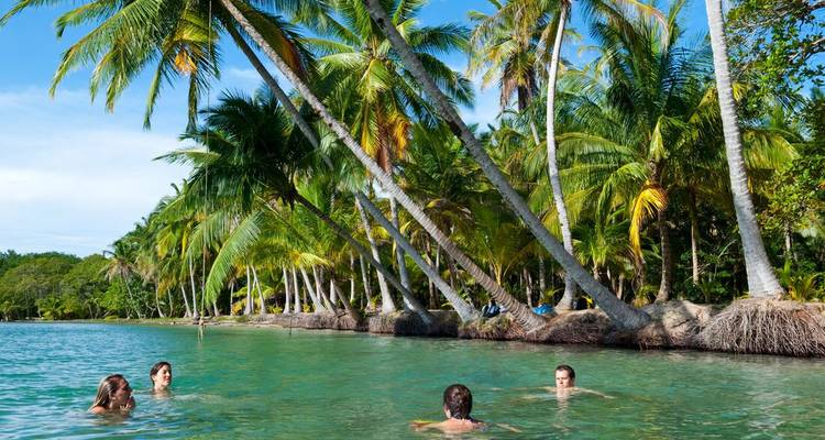 Menschen schwimmen an einem tropischen Strand mit Palmen.