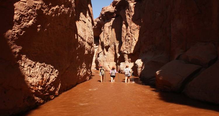 Group of people walking through narrow canyon walls.
