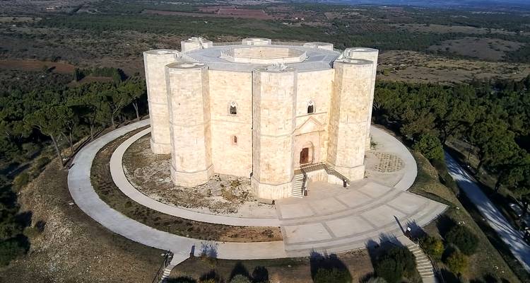 Vista aérea de un castillo octagonal histórico.