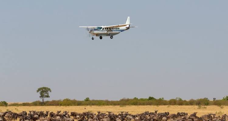 Pequeño avión volando sobre una manada en un paisaje de sabana.
