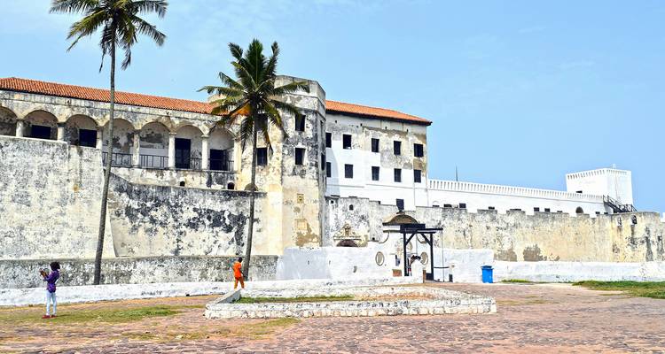 Historic castle with palm trees in the foreground and people exploring.