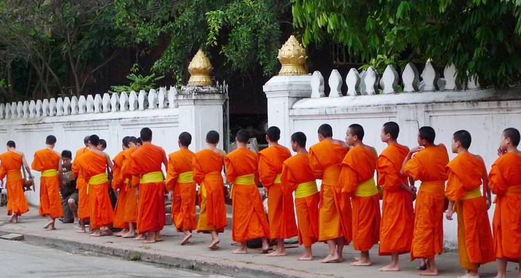Lange Reihe junger buddhistischer Mönche in leuchtend orangefarbenen Roben geht entlang einer weißen Mauer.