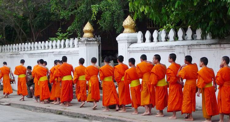 Procession of young Buddhist monks in orange robes walking along a white wall in Luang Prabang.