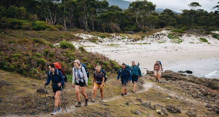 Les voyageurs à sac à dos font une randonnée sur un sentier côtier qui longe du sable blanc et des fougères basses sous de grands eucalyptus.