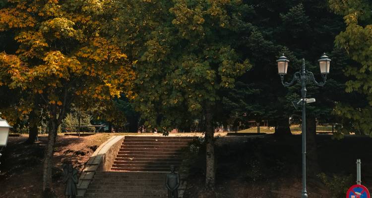 Shaded park steps surrounded by autumn foliage with vintage street lamp.