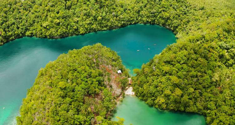 Vue aérienne d'une forêt luxuriante avec deux lacs bleu-vert reliés nichés à l'intérieur.