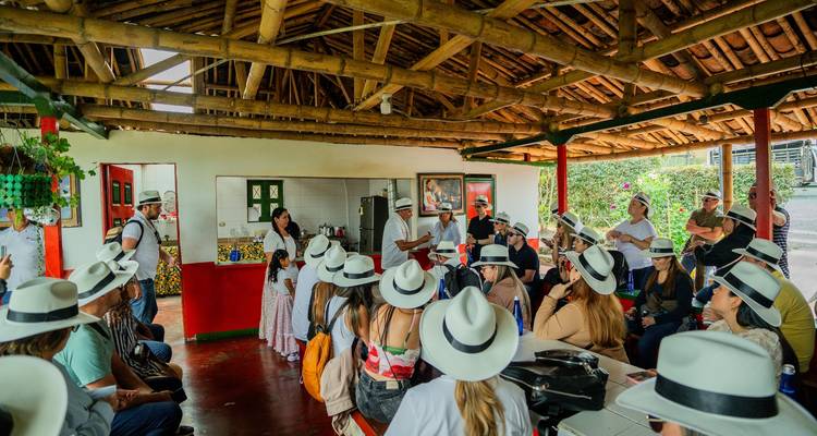 Un gran grupo de visitantes con sombreros blancos escucha una presentación dentro de un pabellón rústico con techo de bambú en una finca cafetera.