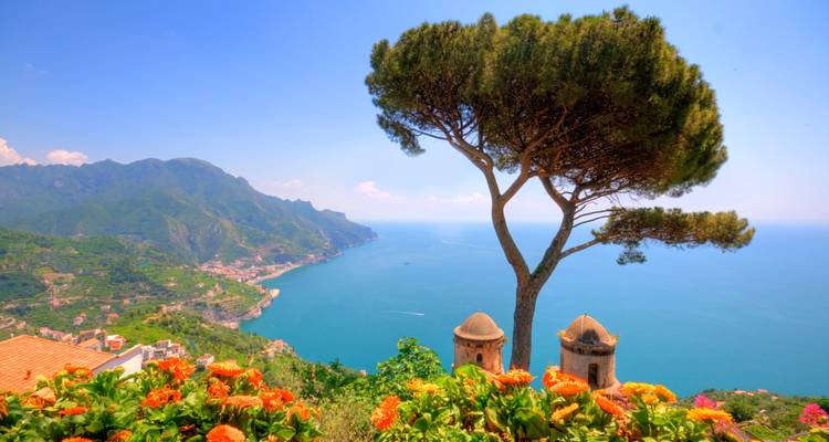 Vue côtière avec un arbre et des fleurs au premier plan.