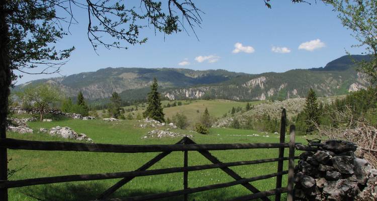 Paysage pastoral avec une clôture en bois au premier plan.