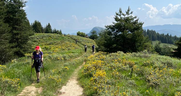 Trekkingwandelaars lopen over een bloemrijke route op een zonnige bergrug.