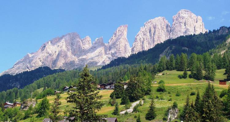 Paisaje de montaña con cabañas y frondosos bosques verdes.