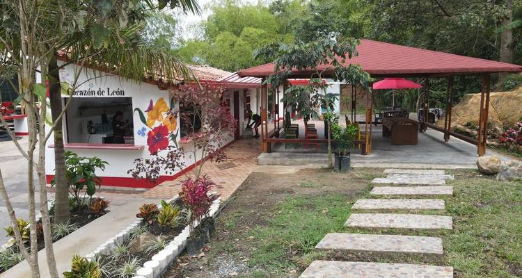 Granja de café rural con edificios blancos y rojos, una glorieta y senderos de jardín rodeados de árboles.